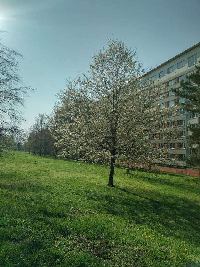 Flat Lesna Brno Apartment Exterior photo